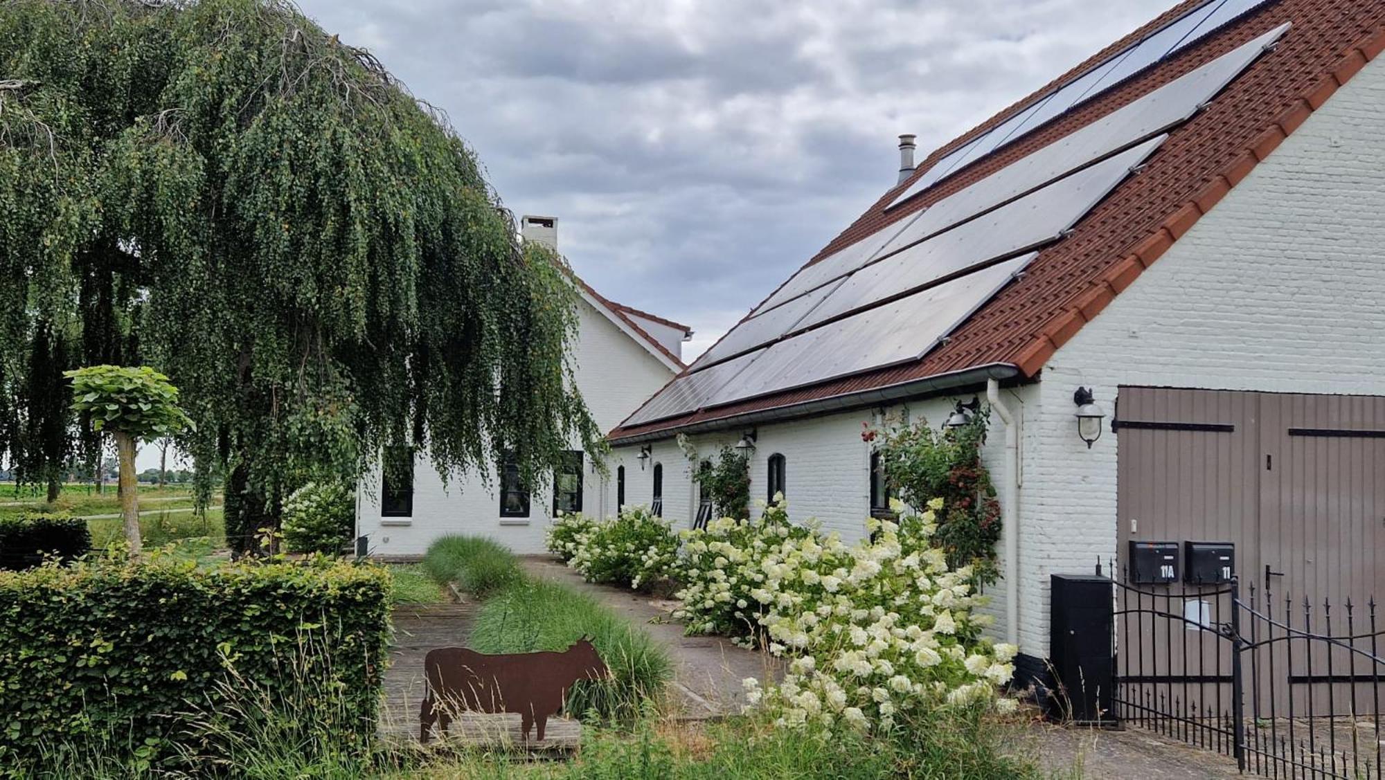 Mariafarm Bed & Breakfast Zevenbergen Exterior photo